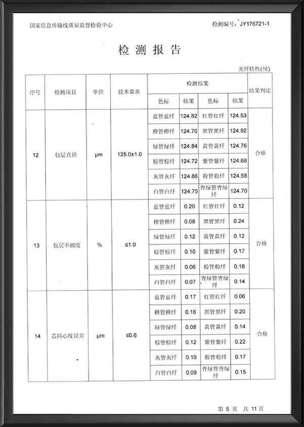 检测报告