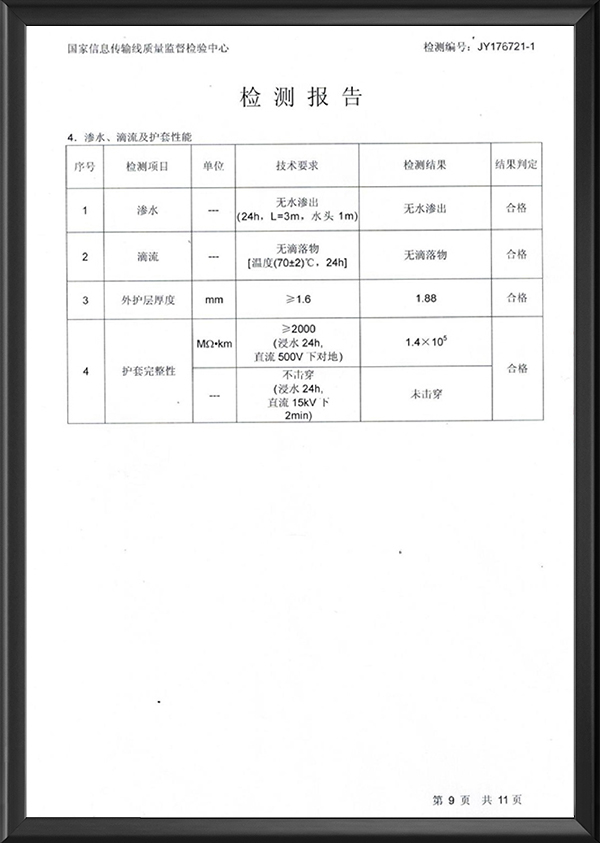检测报告