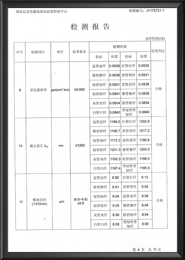 检测报告